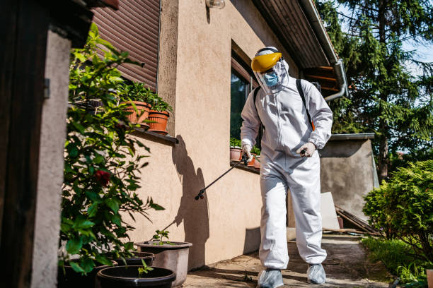 Reliable Buckeye, AZ Pest Control Solutions