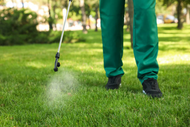 Best Affordable Pest Control Services  in Buckeye, AZ