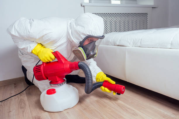 Trusted Buckeye, AZ Pest Control Experts